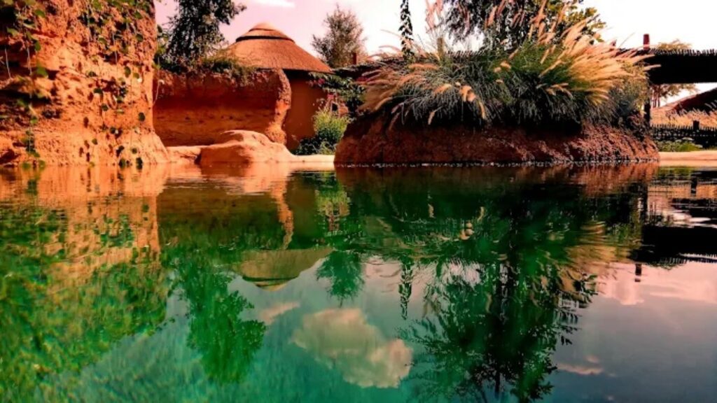 padel-courts-al-ain-3