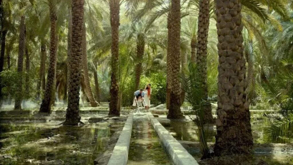 padel-courts-al-ain-4