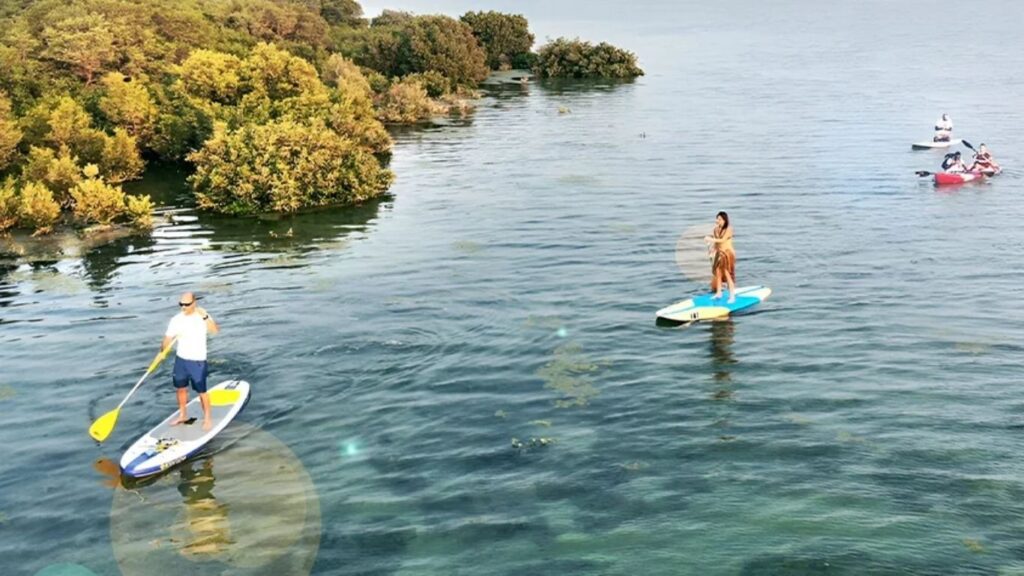 padel-courts-umm-al-quwain-3