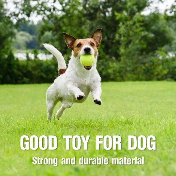 GENZY Tennis Balls 12 Pack, Training Tennis Balls, Playing Ball for Pets, Cats, Dogs, Sports Practice Tennis Balls for Beginners, Tennis Balls with a Bag - Image 6